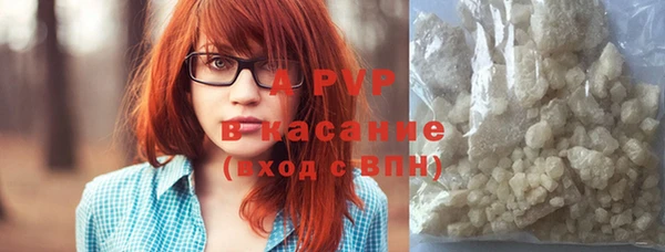 индика Белоозёрский