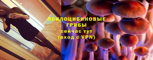 винт Белокуриха