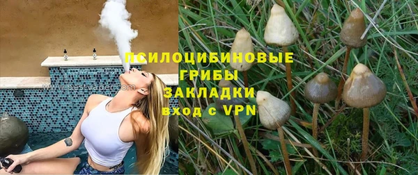 винт Белокуриха