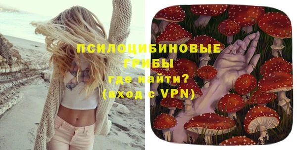 индика Белоозёрский