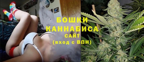 винт Белокуриха