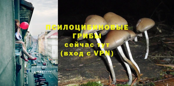 индика Белоозёрский
