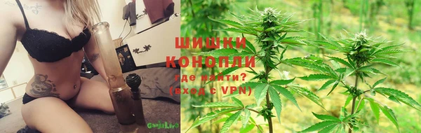 индика Белоозёрский