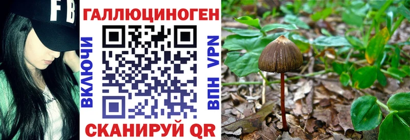 blacksprut ТОР  это формула  Елизово  Псилоцибиновые грибы Magic Shrooms  что такое наркотик 
